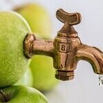 Give Yourself a Shot of Good Nutrition