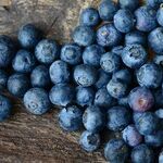 Changing Seasons Should Mean Changing Oatmeal
