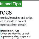 Lichens, Algae and Fungus Gnats