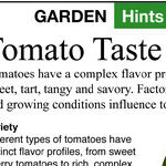 Are You Picking Tomatoes Wrong?