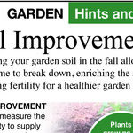 Fall Flower Bed Care