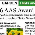 All-America Selections Flower Winners