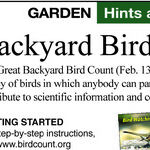 Great Backyard Bird Count
