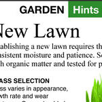 Lawns, Part 1: Selection and Prep