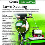 Lawns, Part 2: Installation