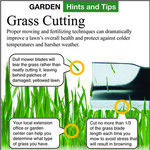 Proper Lawn Mowing Height