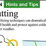 Proper Lawn Mowing Height