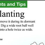 Can You Move a Tree?