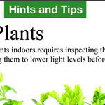 The Best Time To Move Your Plants Indoors for the Winter