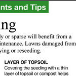 Renovating a Lawn
