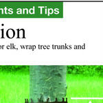 Stopping Deer Damage