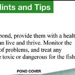 Fishpond