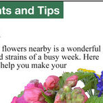Cut Flowers Are Not Just for Valentine's Day