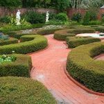 Topiary Designs