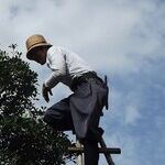 Picking a Pruner