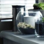 Unique Gifts for Gardeners