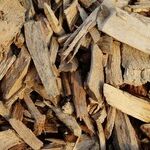 Working With Garden Mulch