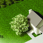Tree Transplants