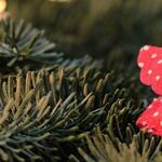 Christmas Gift Ideas