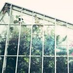 Winter Garden Tasks