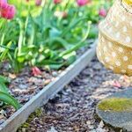 2018 Gardening Resolutions