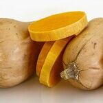 Squash Care