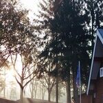 Tree Flagging