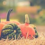 Pumpkins
