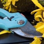 Holiday Gifts for Gardeners