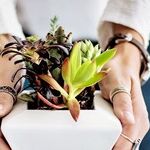 Holiday Gifts: Planters, Augers and Trellises