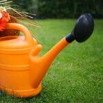 Gifts for People With Green Thumbs