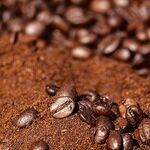 Coffee Grounds