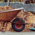 Mulching Your Garden