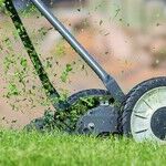 Crabgrass Control