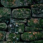 Retaining Walls