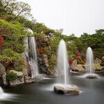 Healthy Ponds