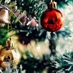 Using a Live Christmas Tree and Protecting Shrubs From Rodents