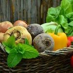 All-America Selections Vegetable Winners