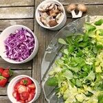 Vegetable Garden Seeds
