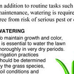 Proper Lawn Watering