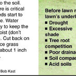 A Melted-Out Lawn
