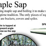 Time to Make Maple Syrup
