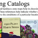 Vegetable Seed Catalogs