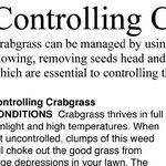 Grass Seed and Dormant Oil