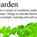 Herb Gardening