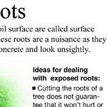 The Root of The Problem