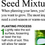 Fall Grass Seed