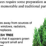 Choosing a Fresh Christmas Tree
