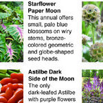 Green Thumb Awards