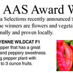 All-America Selections Vegetable Winners for 2023